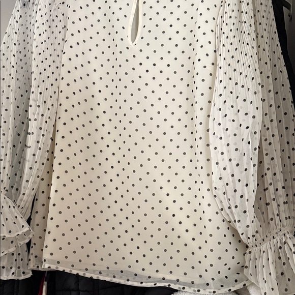 Talbots White Blouse with Black Polka Dots - Picture 1 of 4